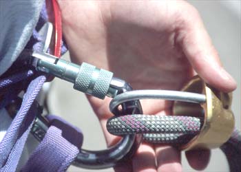 Clip into Carabiner